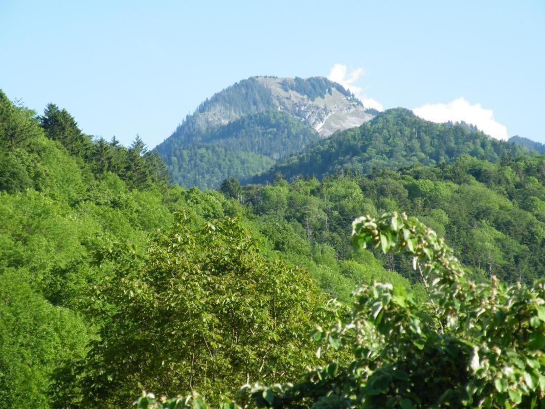 Holiday home Annecy 06 - Au Royaume Des Marmottes - Appt 06 Doussard